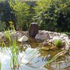 Teich & Bachlauf